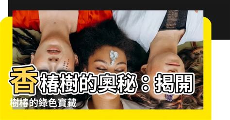 樹椿|【樹椿】香椿樹的奧秘：揭開樹椿的綠色寶藏